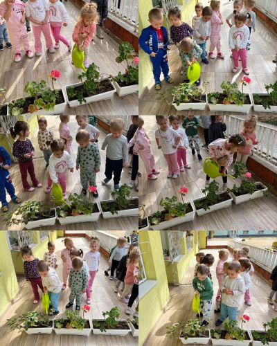 Малки ръчички - големи грижи за природата 2