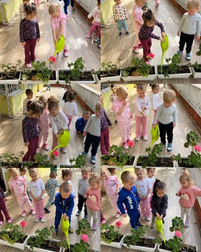 Малки ръчички - големи грижи за природата 3