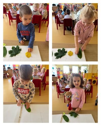 Есен в  природата - хербарий 2