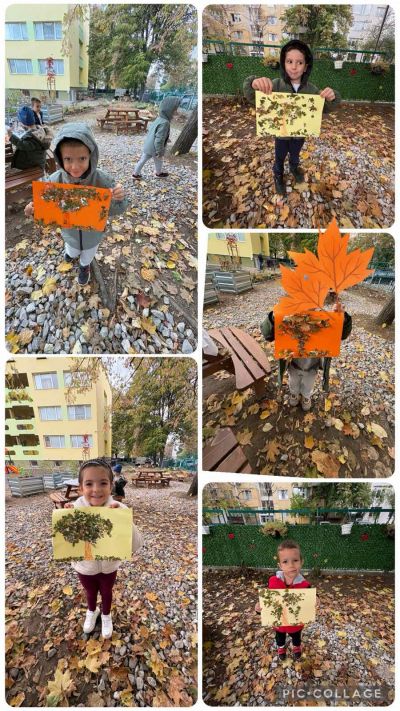 Моето дърво през есента 4