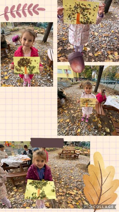 Моето дърво през есента 5