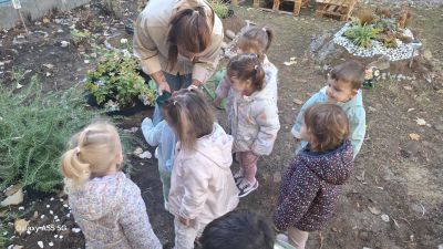 Моето любимо дърво - учим, играем и творим сред природата 2