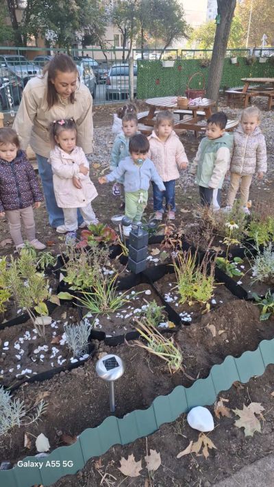 Моето любимо дърво - учим, играем и творим сред природата 4