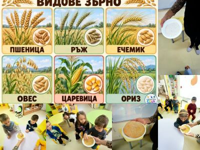 2 - ДГ №108 Детско царство - София